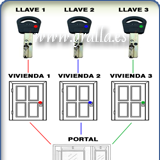 Amaestramiento Comunidad