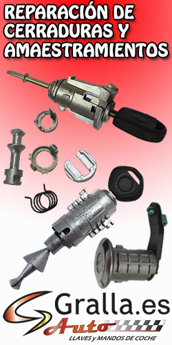 Cerraduras y amaestramientos veh&iacute;culos