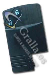 Tarjeta Mazda de 2 botones